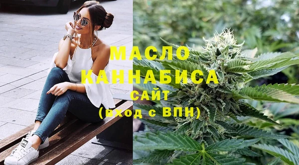 мет Инта
