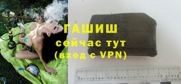 мет Инта